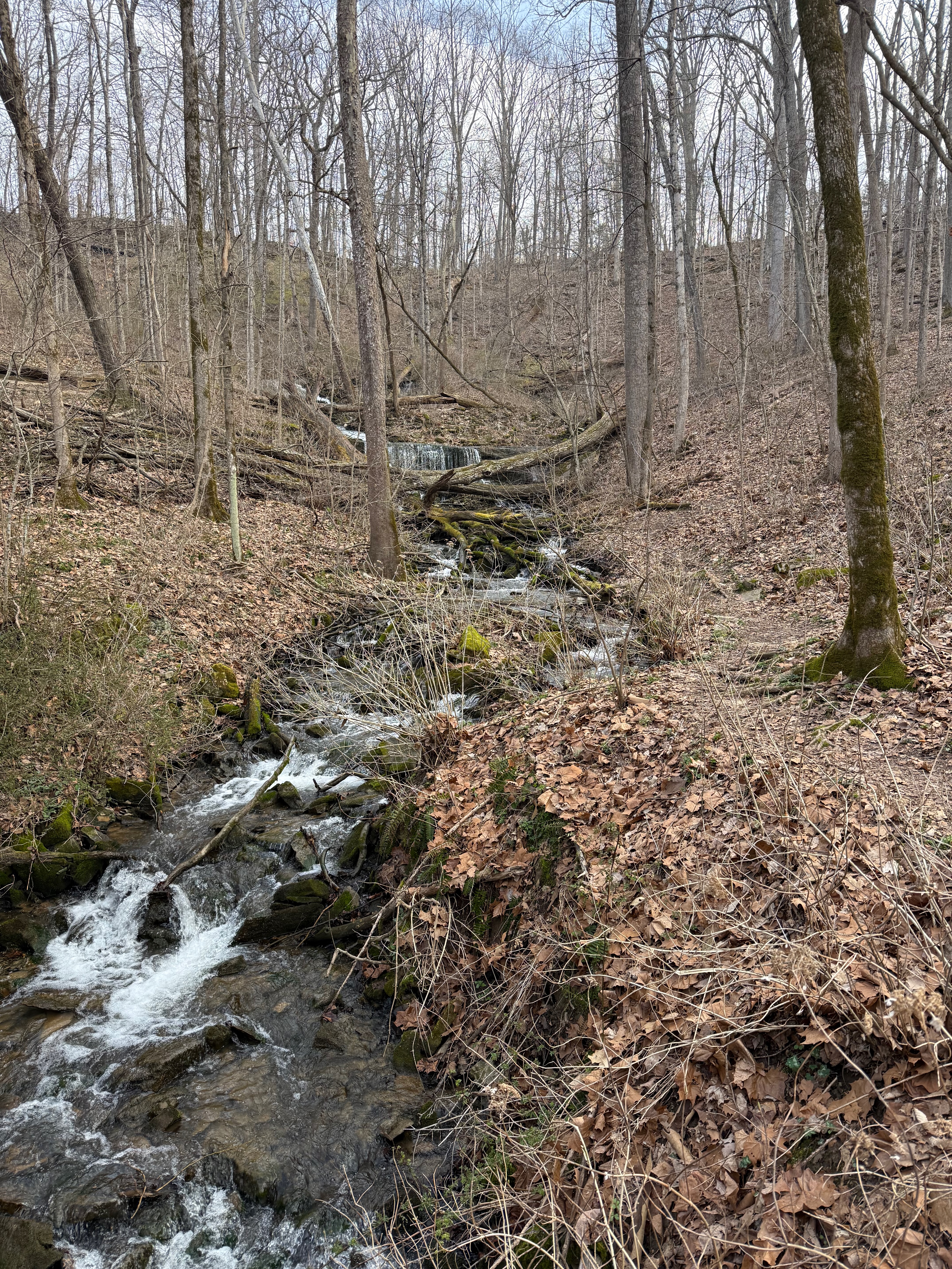 Quick snap of the springs @ Leonard Springs Park
