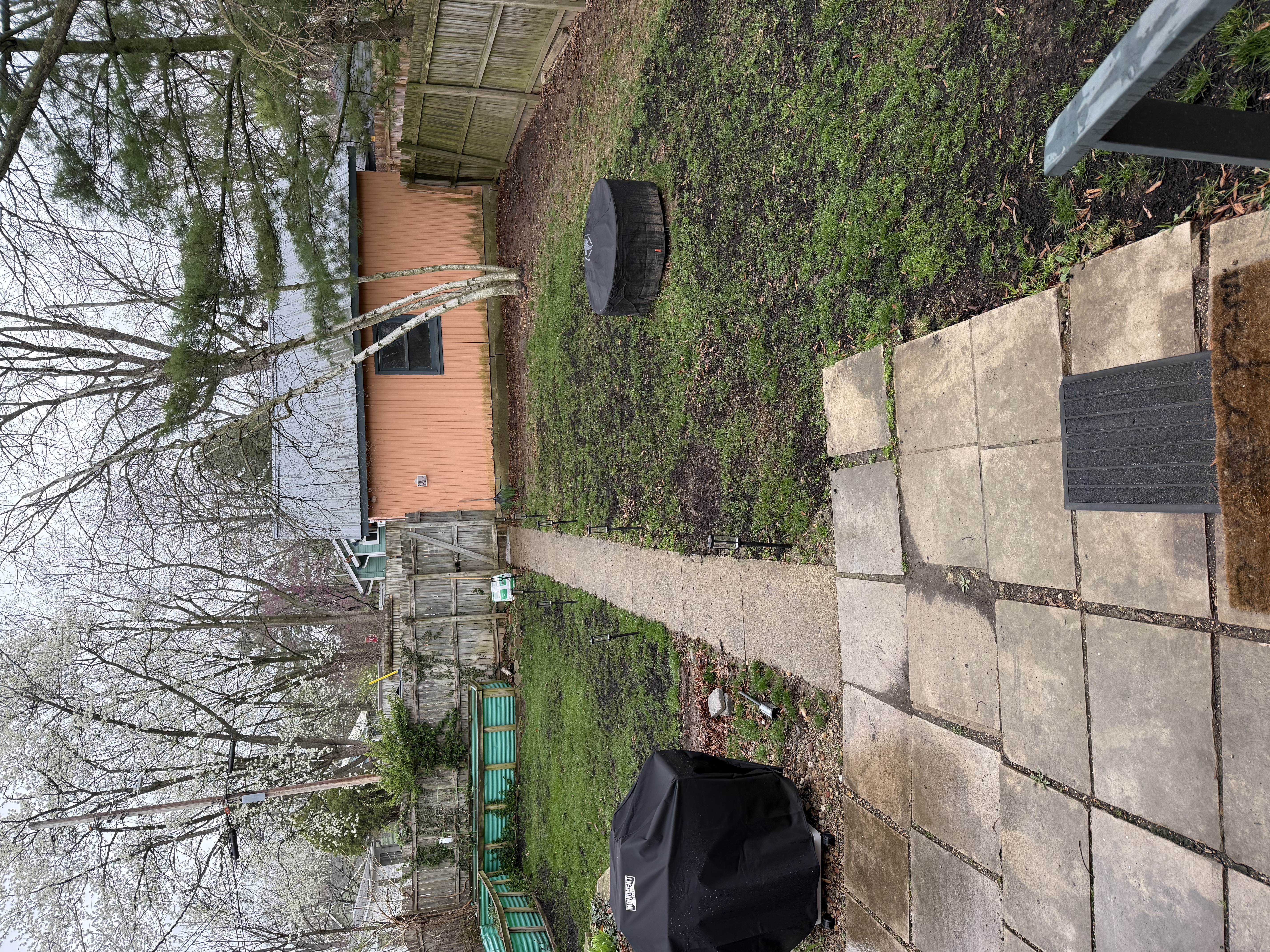 A photo of my backyard, prior to overseeding a leveling.